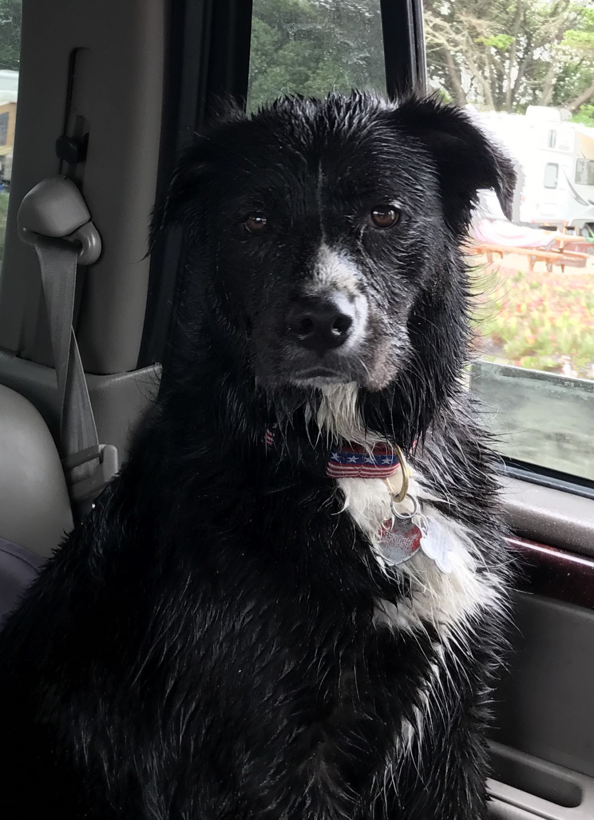 Ella